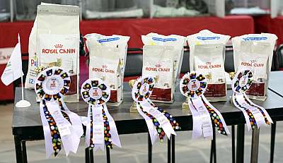 �������� ����� '���-�����-������' 22-23 ������ 2014 169A8273 copy.jpg